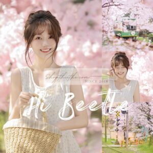 Tận Hưởng Sắc Xuân Hồng Phấn - Bộ Lọc Màu Lightroom và Photoshop Cho Mùa Hoa Anh Đào