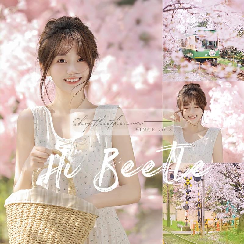 Tận Hưởng Sắc Xuân Hồng Phấn - Bộ Lọc Màu Lightroom và Photoshop Cho Mùa Hoa Anh Đào 3 shopthietke com anh 34