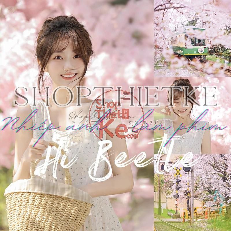 Tận Hưởng Sắc Xuân Hồng Phấn - Bộ Lọc Màu Lightroom và Photoshop Cho Mùa Hoa Anh Đào 3 shopthietke com anh 34