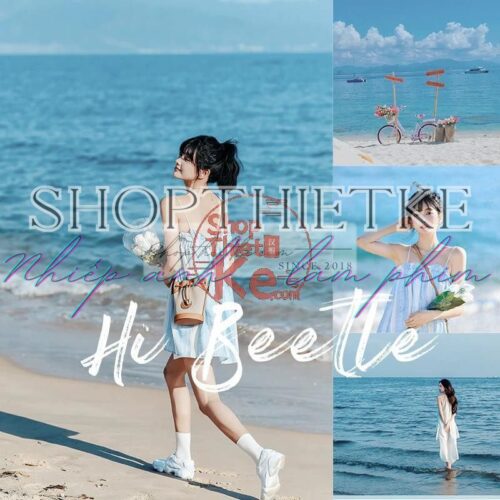 39 Tone Màu Tươi Mát Mùa Hè Bên Bãi Biển  Phong Cách Nhật Bản (XMP/CUBE)