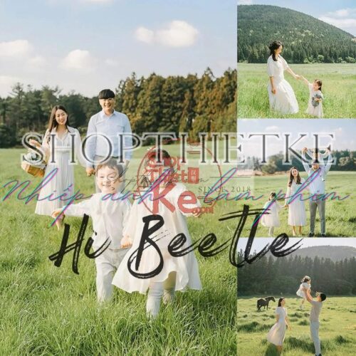 Hơi Thở Mùa Hè Tươi Mát Với 40 Cài Đặt Sẵn Cho Chân Dung Gia Đình (XMP/CUBE)