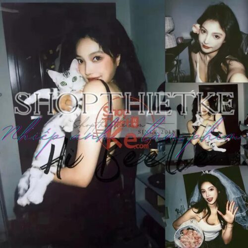 Biến Ảnh Thành Kỷ Niệm Với 88 Cài Đặt Sẵn Phong Cách Phim Polaroid (XMP/CUBE)