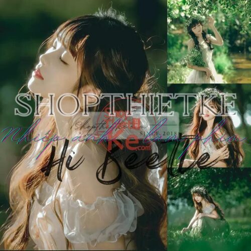 Tạo Nên Vẻ Đẹp Thanh Thoát Với 27 Preset Phong Cách Morigirl (XMP/CUBE)