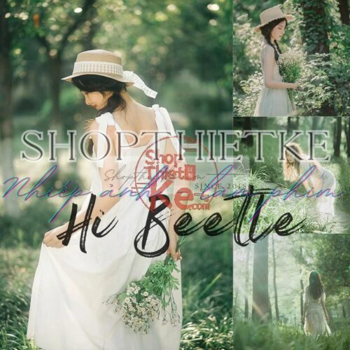 Khám Phá Phong Cách Mùa Hè Rừng Xanh - 23 Bộ Lọc Màu Tự Nhiên Và Huyền Ảo (XMP/CUBE)