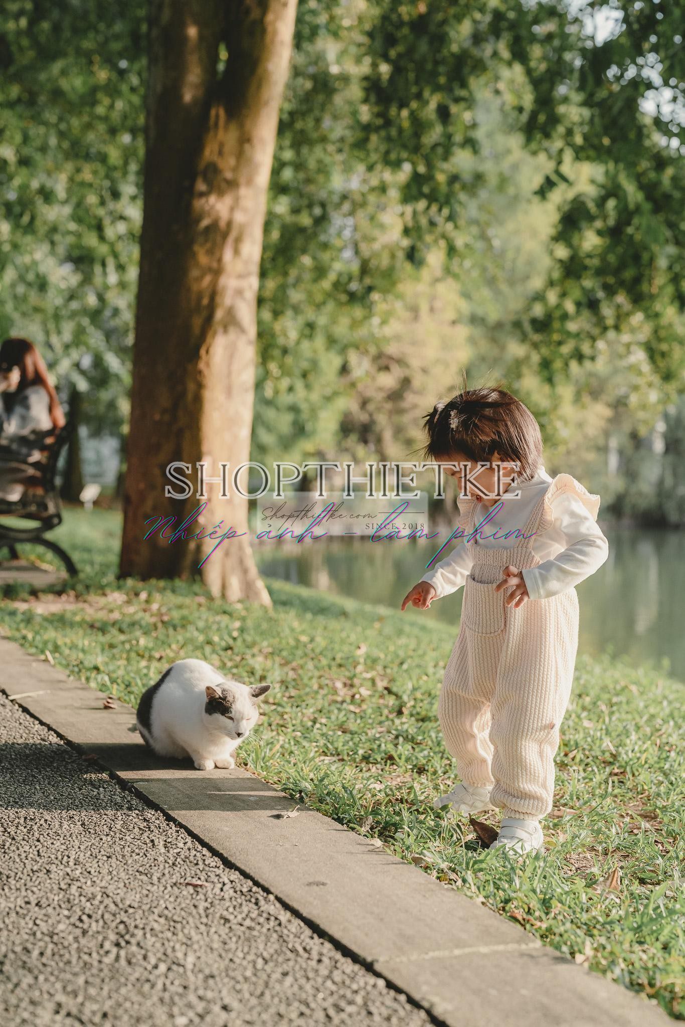 Andrew Preset 2023 Collect - Tạo Dấu Ấn Đậm Nét Với Hơn 40 Tone Màu Cực Chất (XMP/DNG) 38 shopthietke com preset nhat ban 15