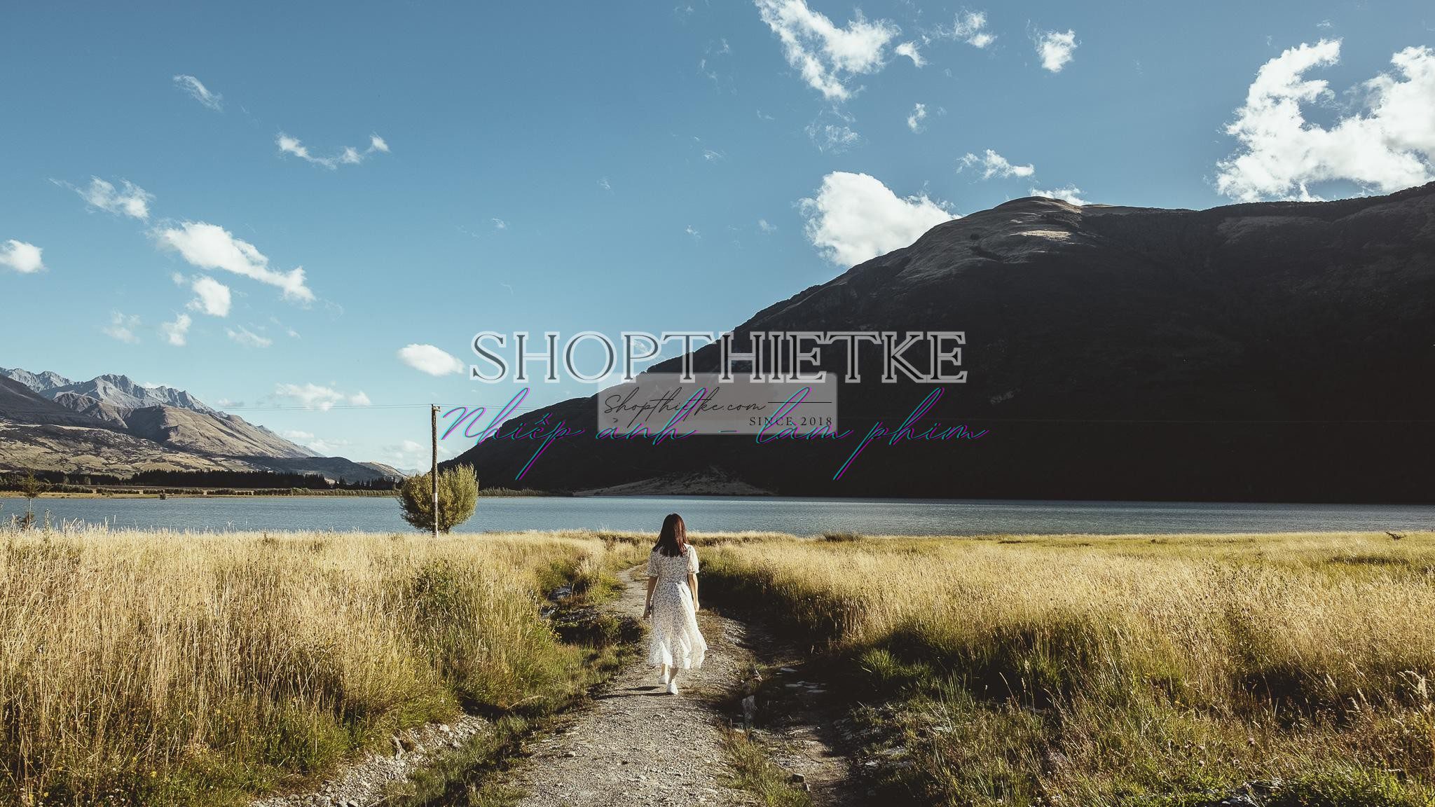 Andrew Preset 2023 Collect - Tạo Dấu Ấn Đậm Nét Với Hơn 40 Tone Màu Cực Chất (XMP/DNG) 25 shopthietke com preset nhat ban 2