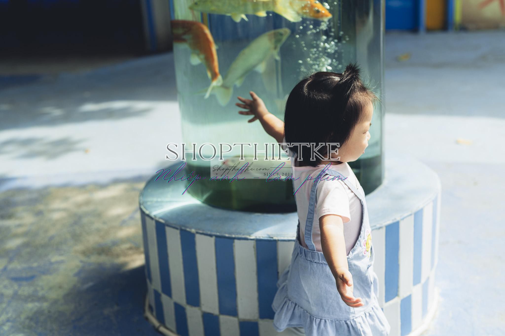 Andrew Preset 2023 Collect - Tạo Dấu Ấn Đậm Nét Với Hơn 40 Tone Màu Cực Chất (XMP/DNG) 45 shopthietke com preset nhat ban 22