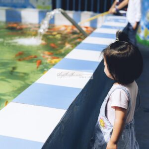 Andrew Preset 2023 Collect - Tạo Dấu Ấn Đậm Nét Với Hơn 40 Tone Màu Cực Chất (XMP/DNG)