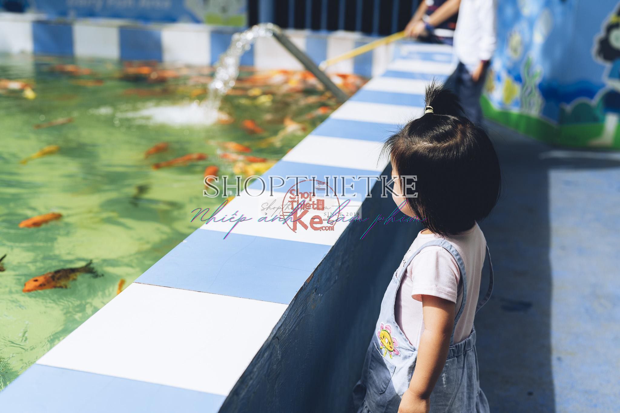 Andrew Preset 2023 Collect - Tạo Dấu Ấn Đậm Nét Với Hơn 40 Tone Màu Cực Chất (XMP/DNG) 12 shopthietke com preset nhat ban 23