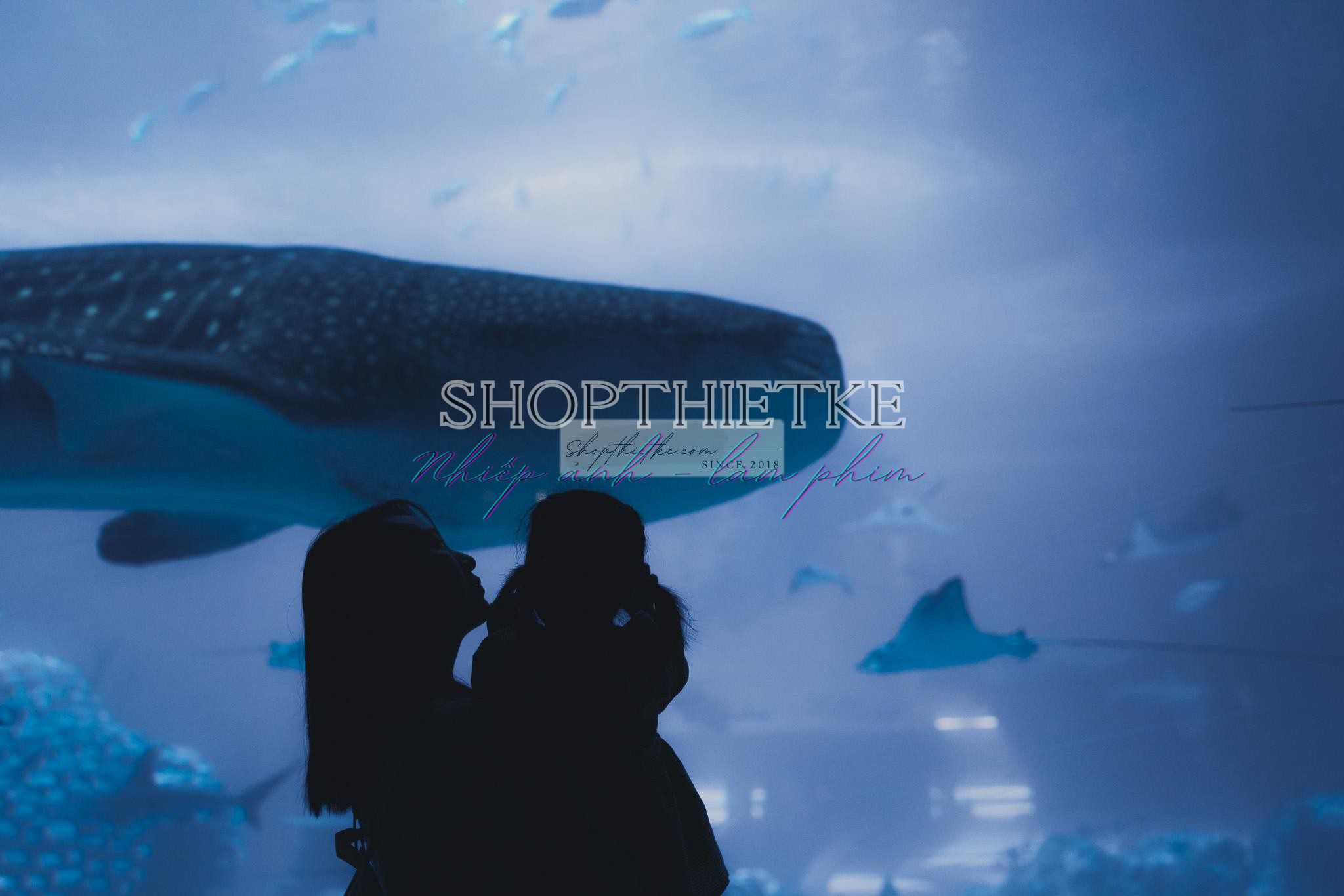 Andrew Preset 2023 Collect - Tạo Dấu Ấn Đậm Nét Với Hơn 40 Tone Màu Cực Chất (XMP/DNG) 48 shopthietke com preset nhat ban 25