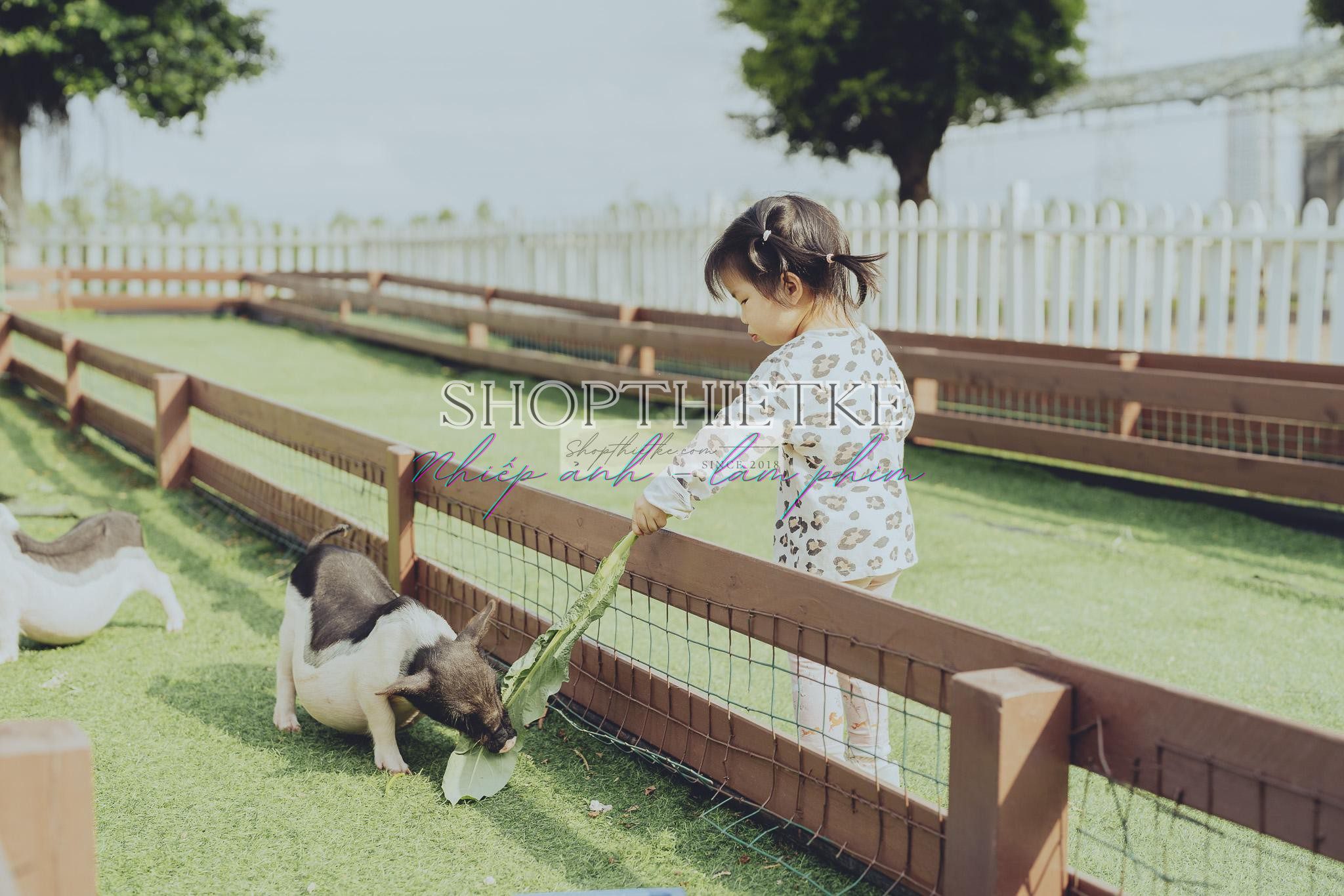 Andrew Preset 2023 Collect - Tạo Dấu Ấn Đậm Nét Với Hơn 40 Tone Màu Cực Chất (XMP/DNG) 49 shopthietke com preset nhat ban 26