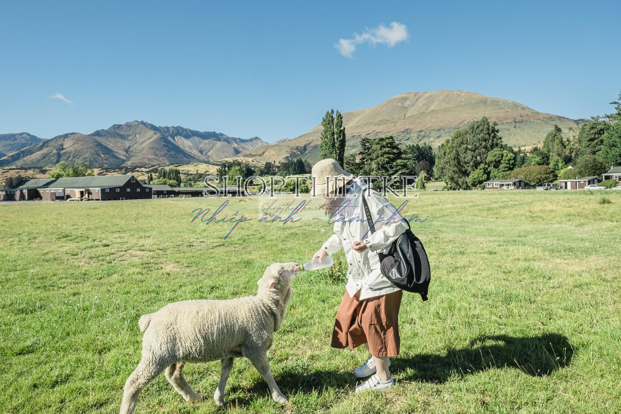 Andrew Preset 2023 Collect - Tạo Dấu Ấn Đậm Nét Với Hơn 40 Tone Màu Cực Chất (XMP/DNG) 51 shopthietke com preset nhat ban 28