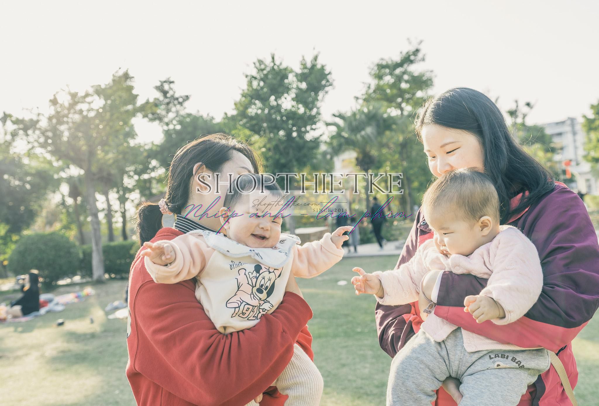 Andrew Preset 2023 Collect - Tạo Dấu Ấn Đậm Nét Với Hơn 40 Tone Màu Cực Chất (XMP/DNG) 54 shopthietke com preset nhat ban 31