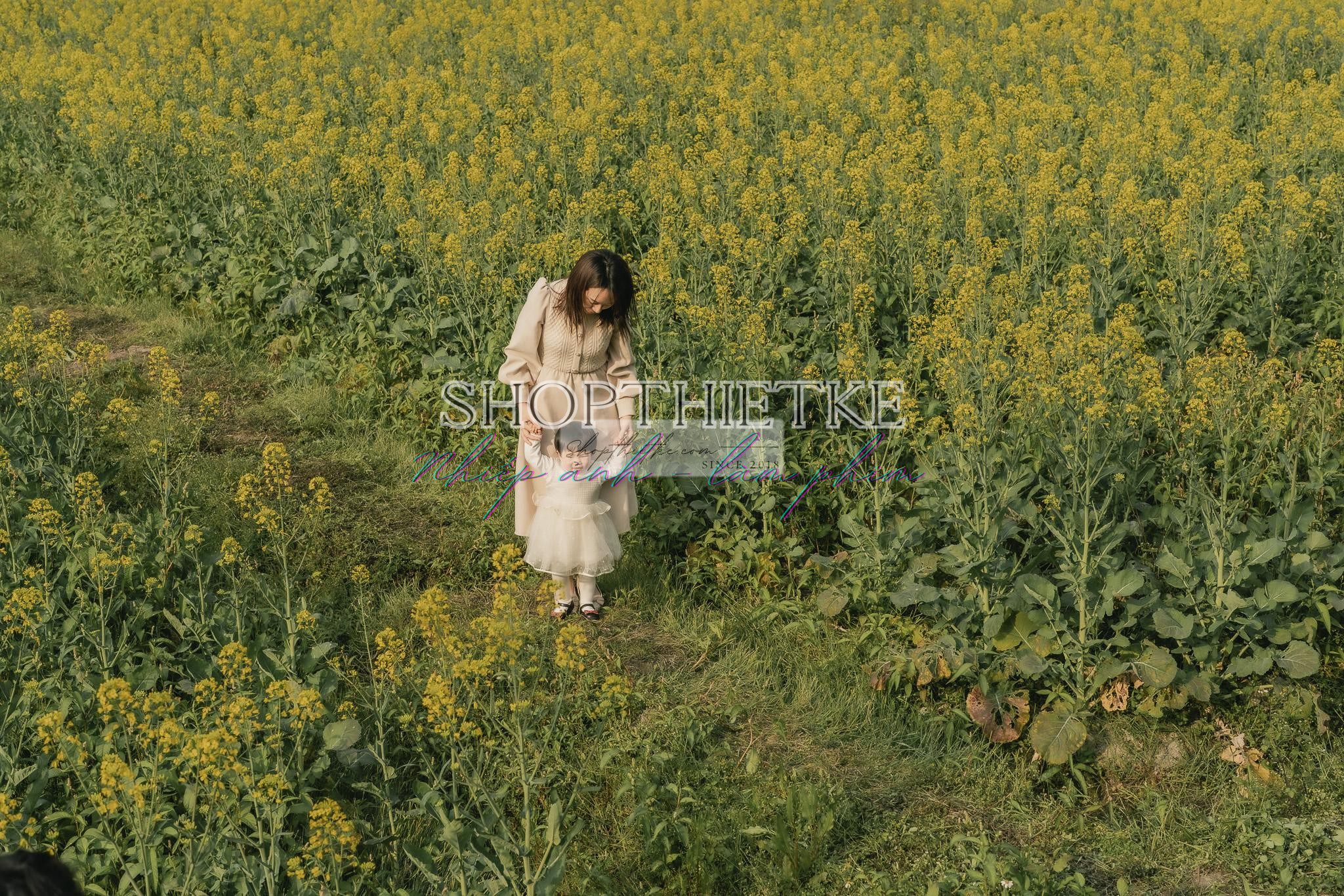 Andrew Preset 2023 Collect - Tạo Dấu Ấn Đậm Nét Với Hơn 40 Tone Màu Cực Chất (XMP/DNG) 57 shopthietke com preset nhat ban 34