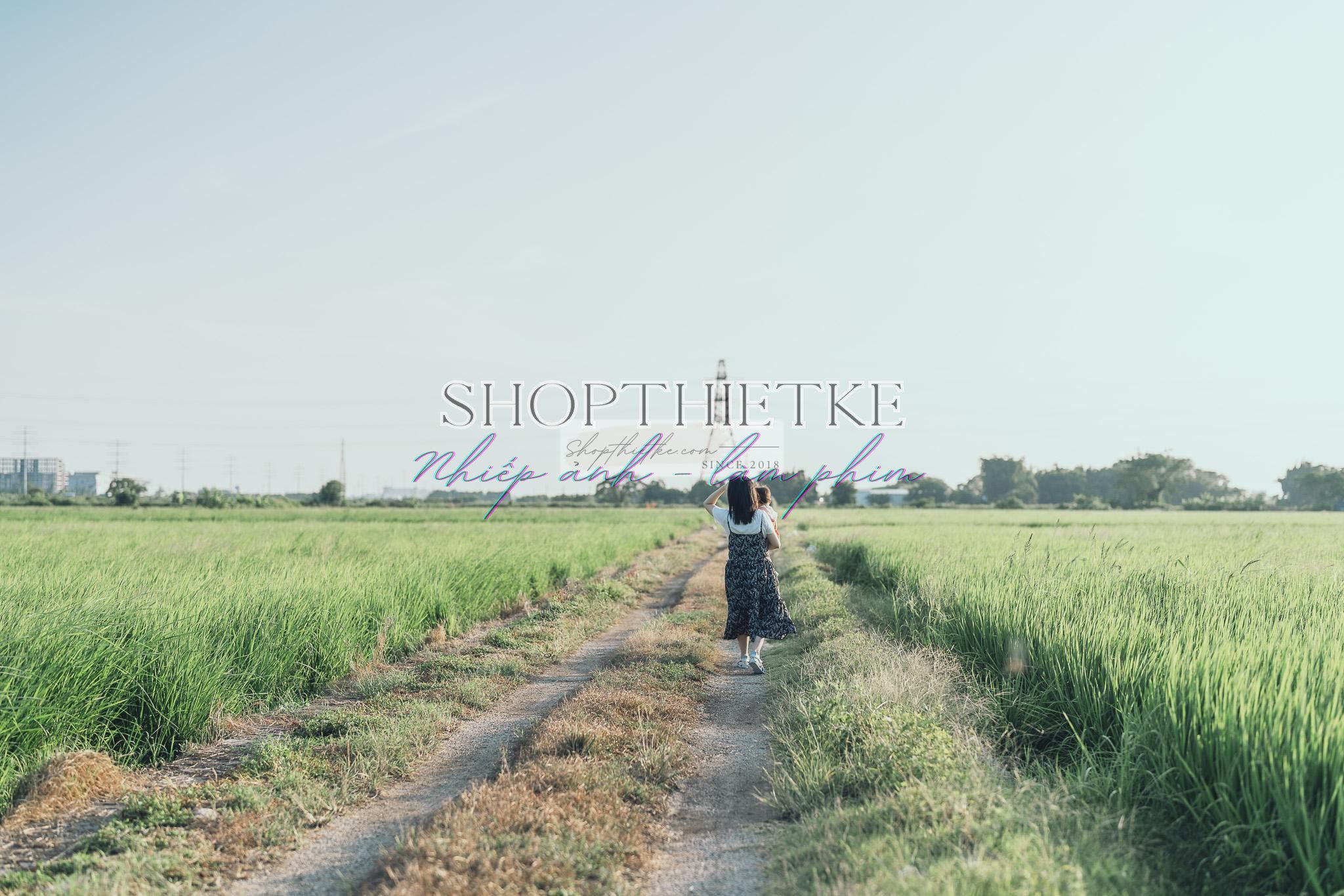 Andrew Preset 2023 Collect - Tạo Dấu Ấn Đậm Nét Với Hơn 40 Tone Màu Cực Chất (XMP/DNG) 58 shopthietke com preset nhat ban 35