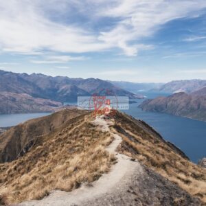 Andrew Preset 2023 Collect - Tạo Dấu Ấn Đậm Nét Với Hơn 40 Tone Màu Cực Chất (XMP/DNG) 15 shopthietke com preset nhat ban 42