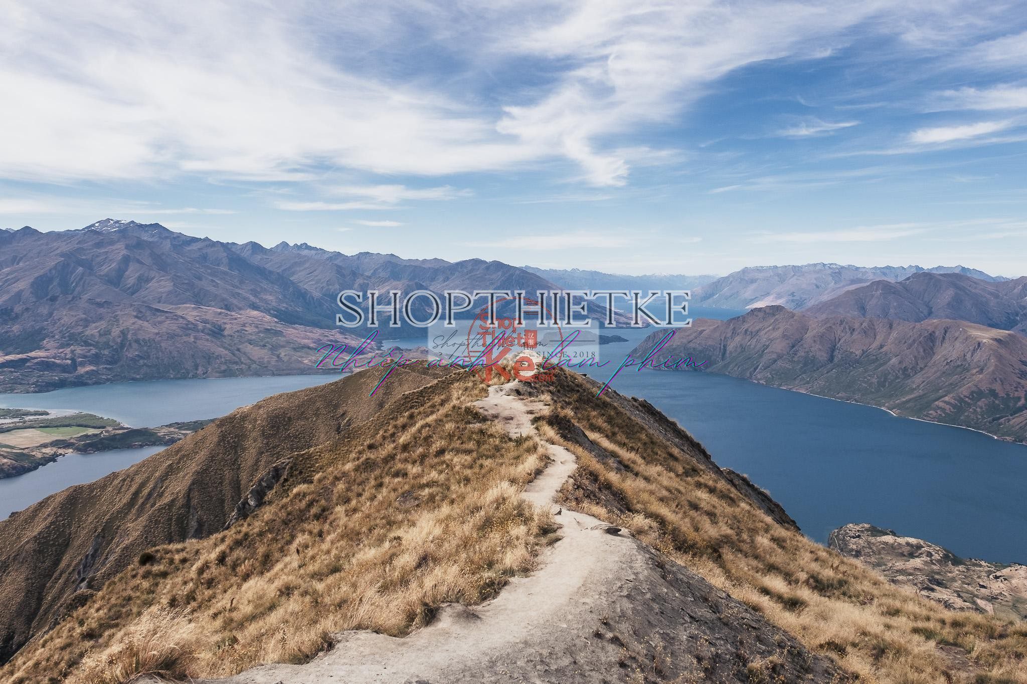 Andrew Preset 2023 Collect - Tạo Dấu Ấn Đậm Nét Với Hơn 40 Tone Màu Cực Chất (XMP/DNG) 5 shopthietke com preset nhat ban 42