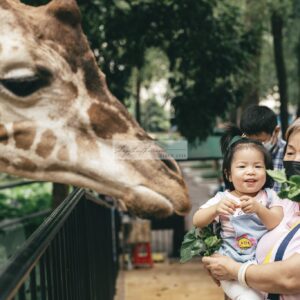 Andrew Preset 2023 Collect - Tạo Dấu Ấn Đậm Nét Với Hơn 40 Tone Màu Cực Chất (XMP/DNG)