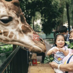 Andrew Preset 2023 Collect - Tạo Dấu Ấn Đậm Nét Với Hơn 40 Tone Màu Cực Chất (XMP/DNG) 19 shopthietke com preset nhat ban 7