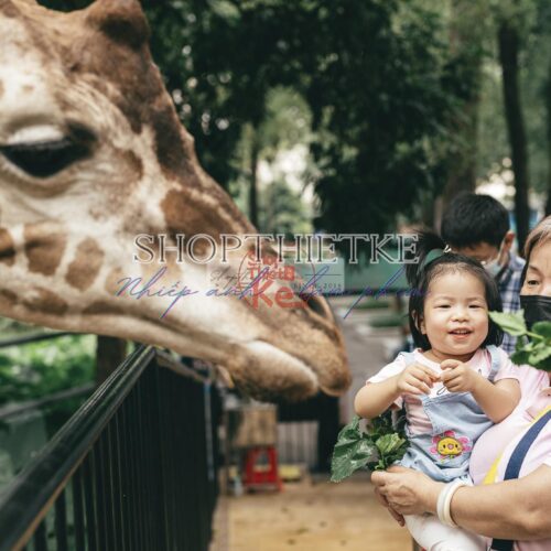 Andrew Preset 2023 Collect - Tạo Dấu Ấn Đậm Nét Với Hơn 40 Tone Màu Cực Chất (XMP/DNG)