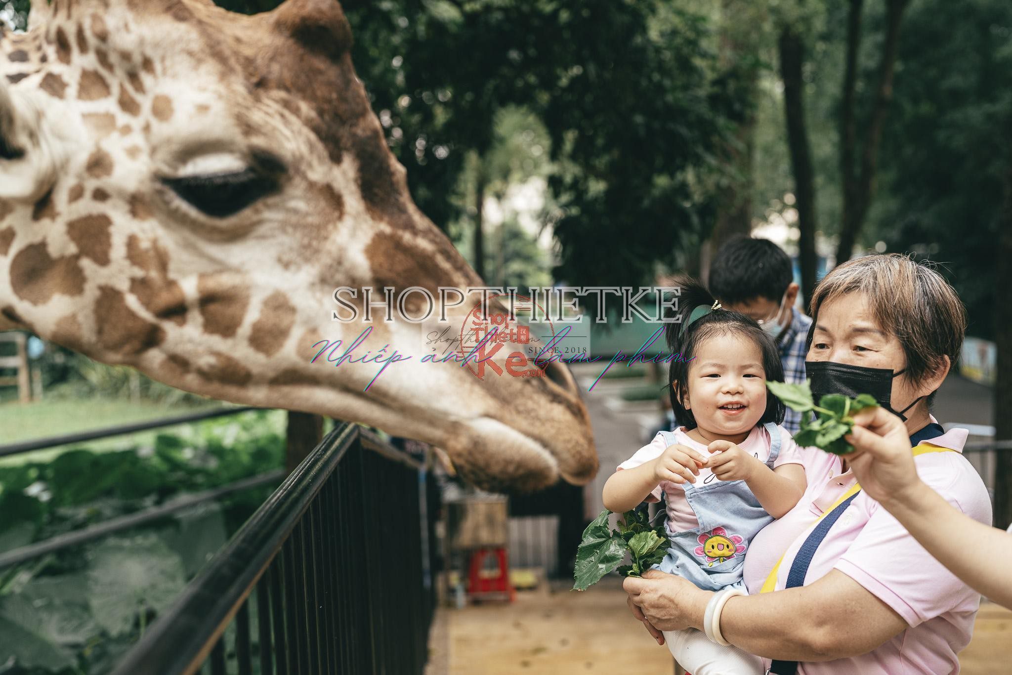 Andrew Preset 2023 Collect - Tạo Dấu Ấn Đậm Nét Với Hơn 40 Tone Màu Cực Chất (XMP/DNG) 9 shopthietke com preset nhat ban 7