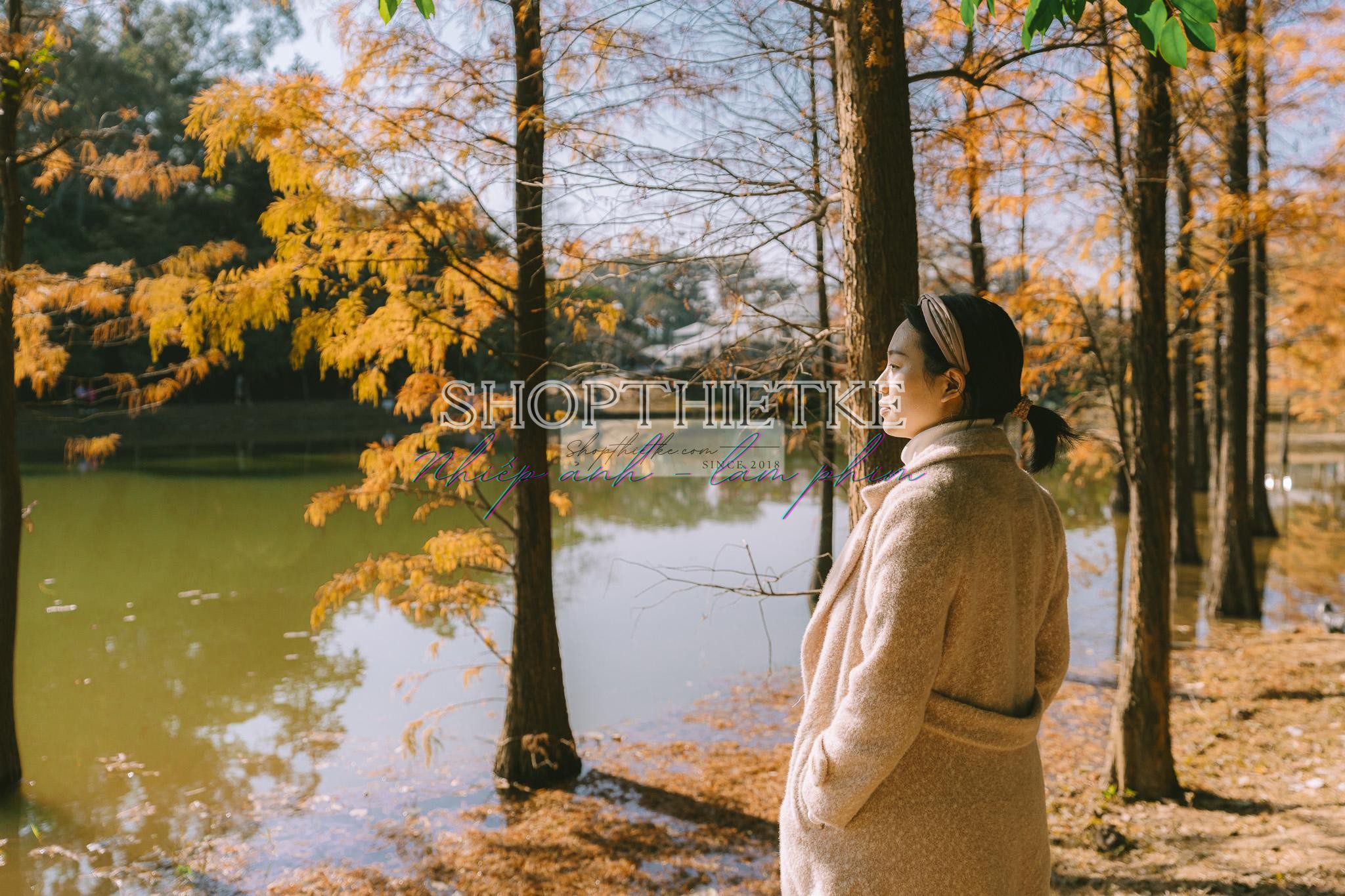 Andrew Preset 2023 Collect - Tạo Dấu Ấn Đậm Nét Với Hơn 40 Tone Màu Cực Chất (XMP/DNG) 31 shopthietke com preset nhat ban 8
