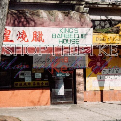 Gói Preset V4 – 16 Dòng Film Kinh Điển Từ Aerochrome Đến Rollei Infrared (XMP)