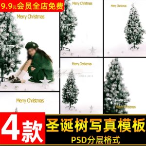 04 Background Thiết Kế Ảnh Noel Nữ Tính Chủ Đề Cây Thông Trắng Xanh - Mùa Đông 2024 (PSD)