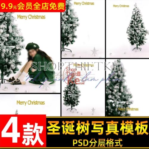 04 Background Thiết Kế Ảnh Noel Nữ Tính Chủ Đề Cây Thông Trắng Xanh - Mùa Đông 2024 (PSD)