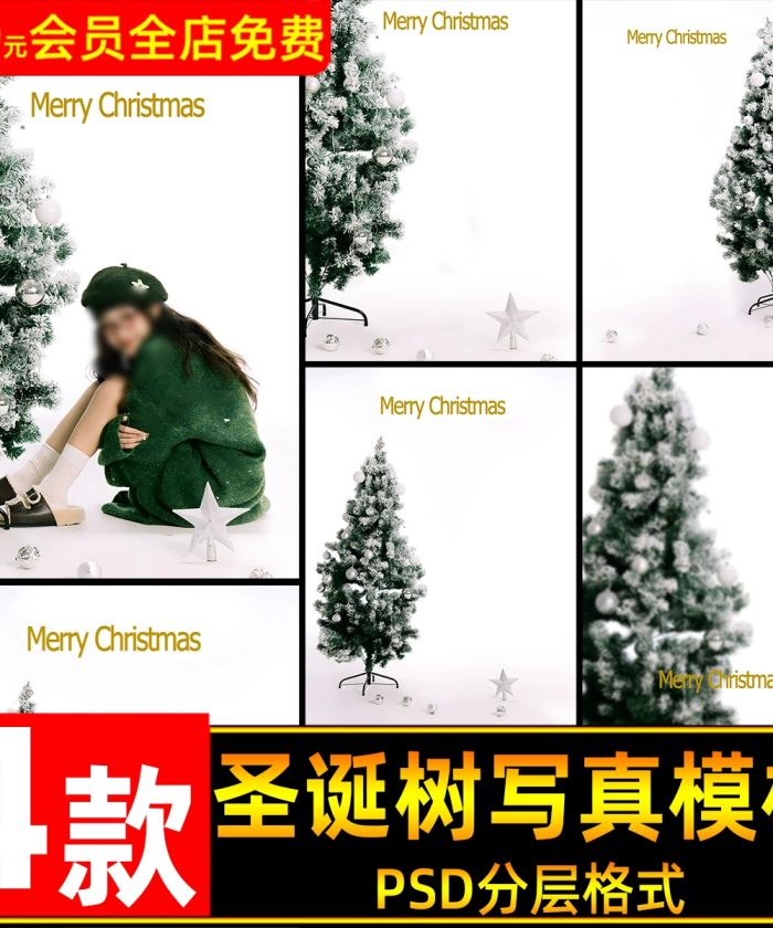 04 Background Thiết Kế Ảnh Noel Nữ Tính Chủ Đề Cây Thông Trắng Xanh - Mùa Đông 2024 (PSD)