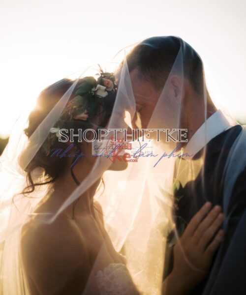 Sắc Màu Hoài Cổ: Tạo Phong Cách Phim Fujifilm Với The Green Pack I (XMP/ Profile)