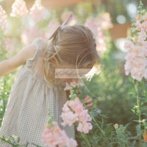 Sắc Màu Hoài Cổ: Tạo Phong Cách Phim Fujifilm Với The Green Pack I (XMP/ Profile)