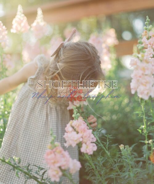 Sắc Màu Hoài Cổ: Tạo Phong Cách Phim Fujifilm Với The Green Pack I (XMP/ Profile)