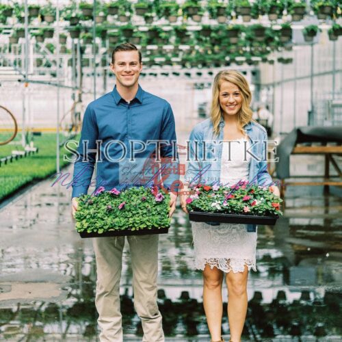 Sắc Nét Tối Đa Cho Ảnh Chân Dung Với The Green Pack II (XMP/Profile)