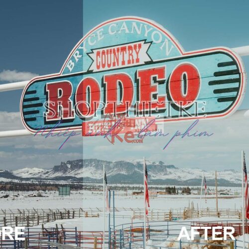 Analog Vibes - Đưa Sắc Màu Phim Cổ Điển Vào Ảnh Số (XMP)