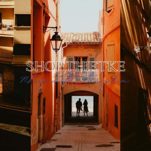 Analog Vibes - Đưa Sắc Màu Phim Cổ Điển Vào Ảnh Số (XMP)