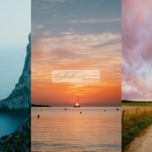 Analog Vibes - Đưa Sắc Màu Phim Cổ Điển Vào Ảnh Số (XMP)