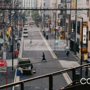 Preset Màu Phim Analog 2024 - Sự Lựa Chọn Hoàn Hảo Cho Lightroom (XMP/DNG)