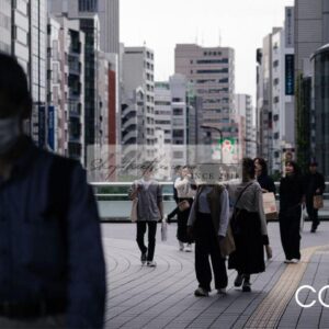 Preset Màu Phim Analog 2024 - Sự Lựa Chọn Hoàn Hảo Cho Lightroom (XMP/DNG)