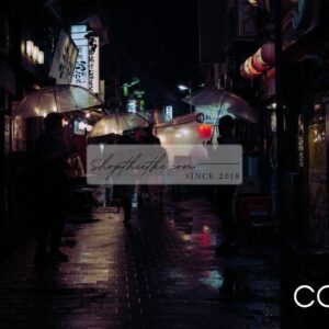 Preset Màu Phim Analog 2024 - Sự Lựa Chọn Hoàn Hảo Cho Lightroom (XMP/DNG)