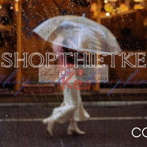 Preset Màu Phim Analog 2024 - Sự Lựa Chọn Hoàn Hảo Cho Lightroom (XMP/DNG) 11 shopthietke com Shopthietke.com 91