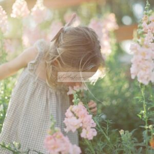 Sắc Màu Hoài Cổ: Tạo Phong Cách Phim Fujifilm Với The Green Pack I (XMP/ Profile)