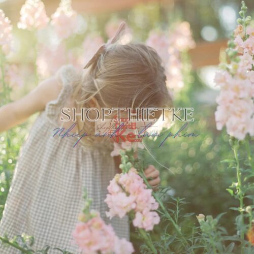 Sắc Màu Hoài Cổ: Tạo Phong Cách Phim Fujifilm Với The Green Pack I (XMP/ Profile)