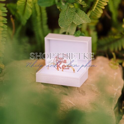 The Power Of Film – Chất Ảnh Phim Kết Hợp Sự Tinh Tế Hiện Đại Cho Ảnh Cưới (XMP)