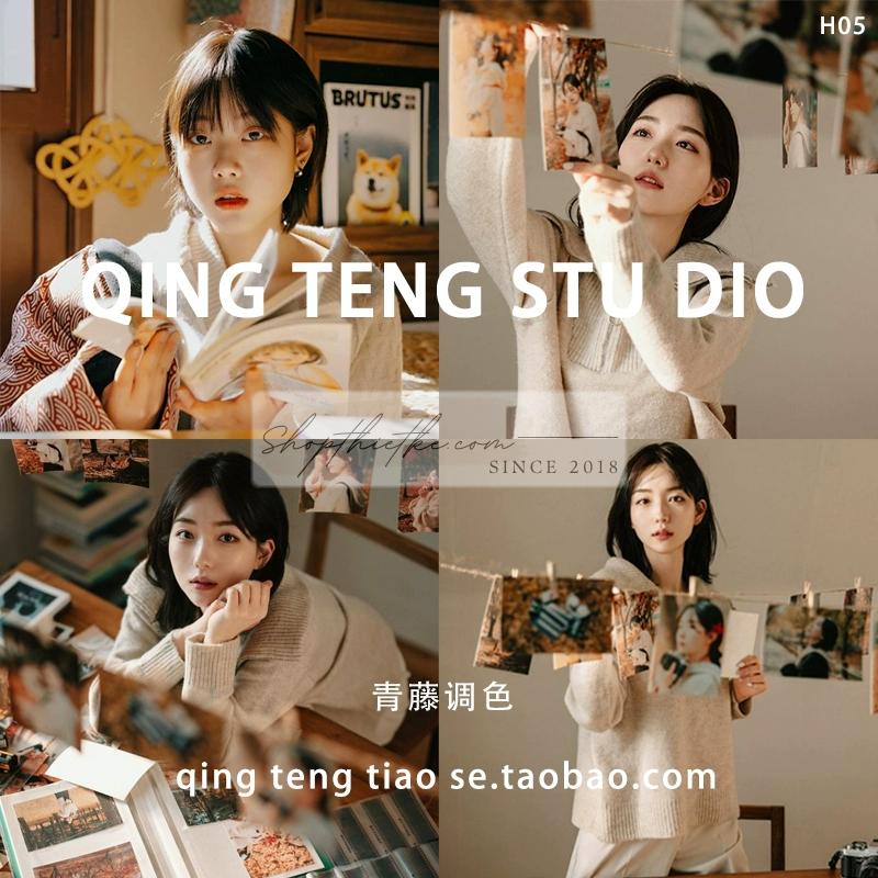 05 Tone Màu Nâu Hàn Quốc Thích Hợp Ảnh Chụp Chân Dung Trong Nhà (XMP) 3 shopthietke com Shopthietke.com 17