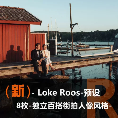 8 Preset Chụp Đường Phố & Chân Dung Loupedeck - Loke Roos (XMP)