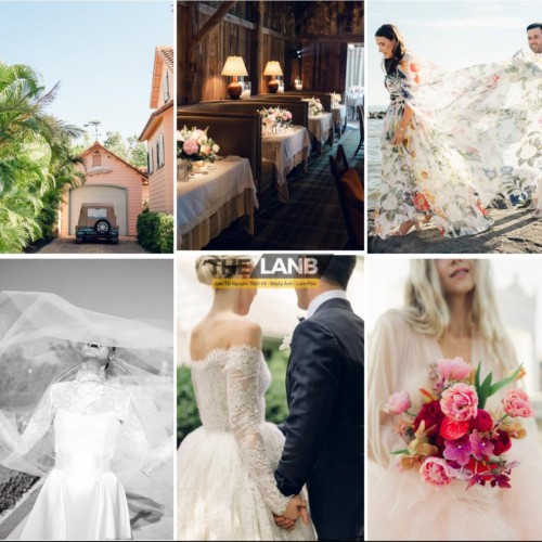 Tec Petaja Preset Collection: Sắc Màu Tinh Tế Cho Mọi Góc Chụp (XMP Kèm Preset)