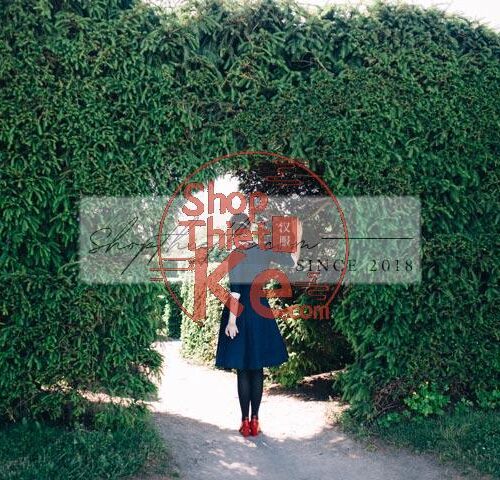 Bộ Preset VSCO Film – Vẻ Đẹp Hoài Cổ Trong Từng Khoảnh Khắc (COS/XMP/CUBE)