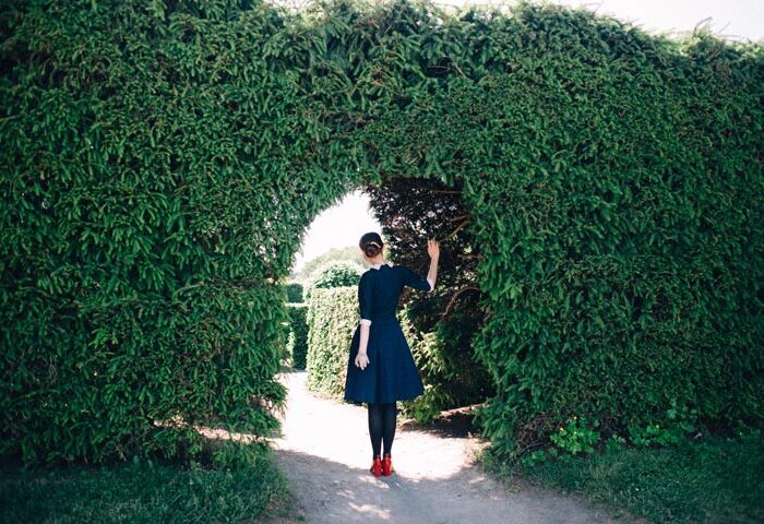 Bộ Preset VSCO Film – Vẻ Đẹp Hoài Cổ Trong Từng Khoảnh Khắc (COS/XMP/CUBE)