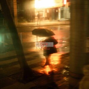 Preset Lightroom Điện Ảnh – Cảm Hứng Từ Wong Kar Wai, Kurosawa & Tarkovsky (XMP) 12 shopthietke com Preset sample 1 scaled